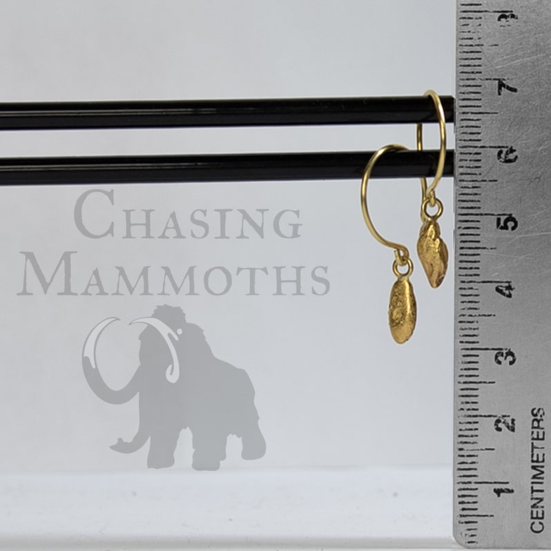 Nugget Drop Earrings 3.48