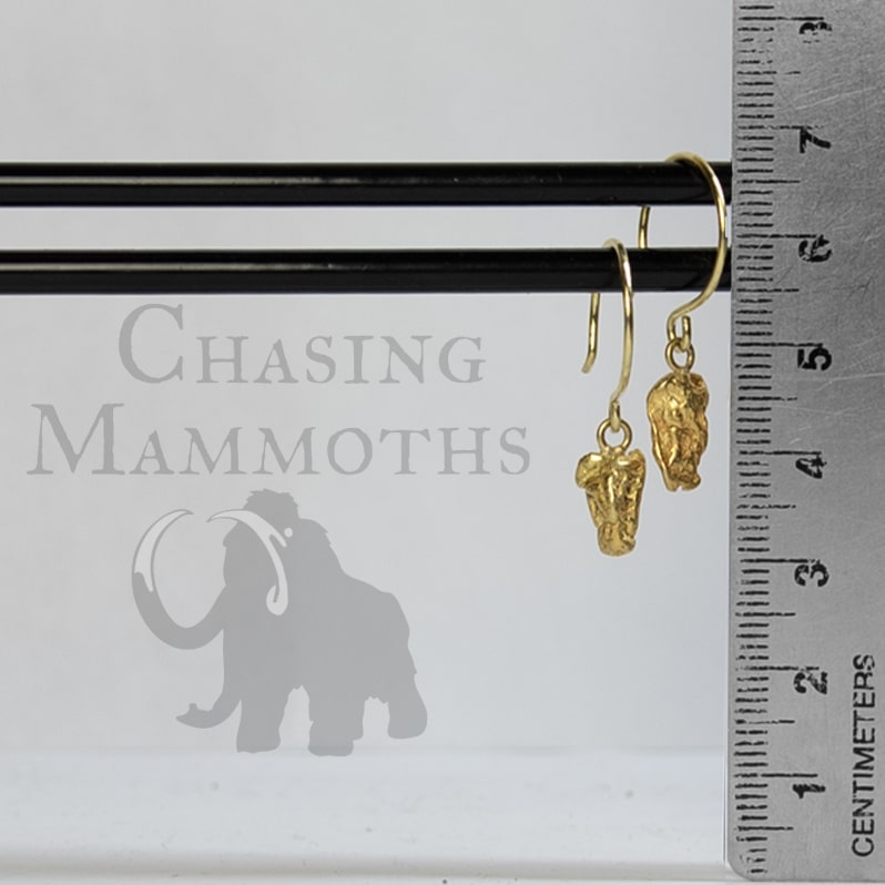 Nugget Drop Earrings 3.58